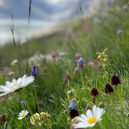 Nanisgarten - Grannys Flat * Obergesteln