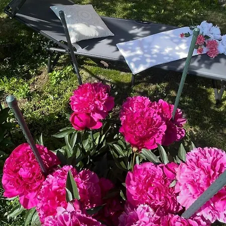 Nanisgarten - Grannys Flat * Obergesteln