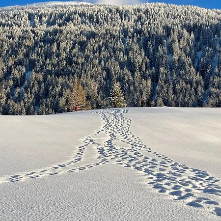 Nanisgarten - Grannys Flat * Obergesteln