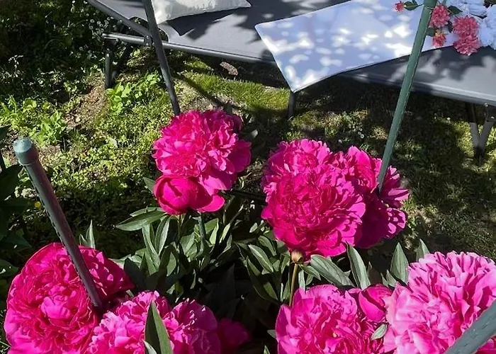 Nanisgarten - Grannys Flat * Obergesteln