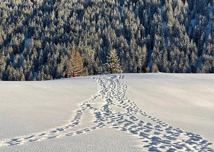 Nanisgarten - Grannys Flat * Obergesteln