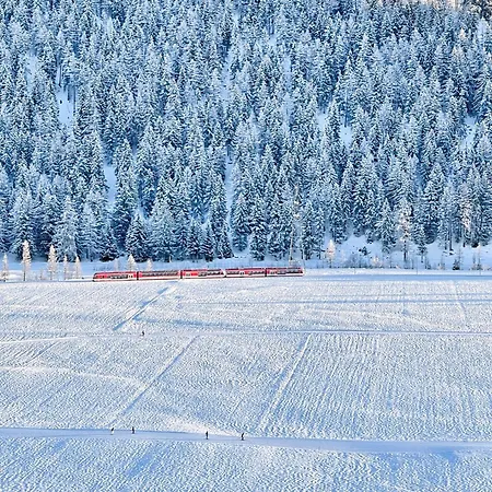 Nanisgarten - Grannys Flat Apartment Obergesteln