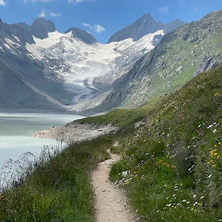 Nanisgarten - Grannys Flat Apartment Obergesteln
