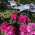 Nanisgarten - Grannys Flat * Obergesteln