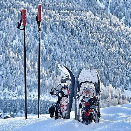 Nanisgarten - Grannys Flat Апартаменты Obergesteln