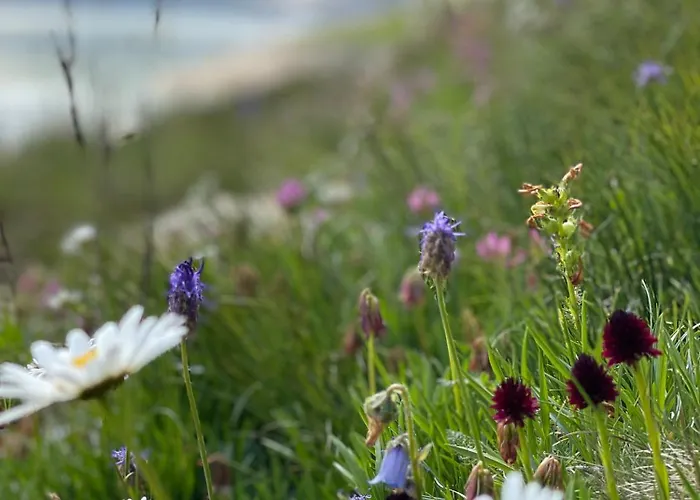 Nanisgarten - Grannys Flat * Obergesteln
