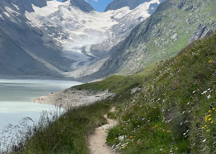 Nanisgarten - Grannys Flat Lägenhet Obergesteln